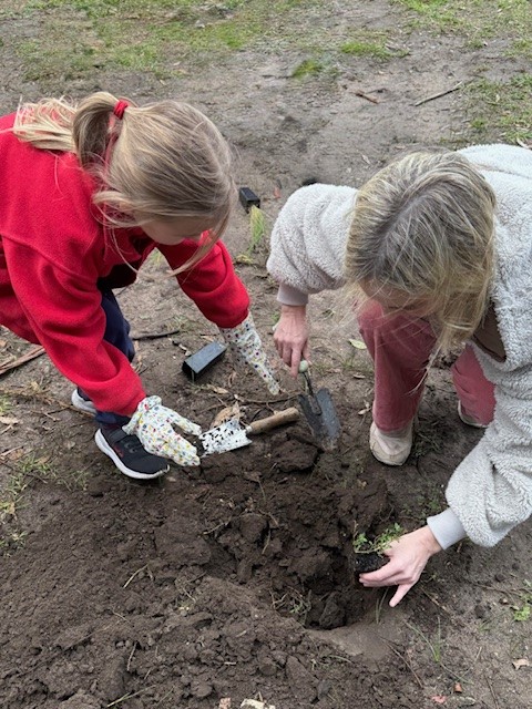 /uploaded_files/media/gallery/1753929004Planting 2.jpg